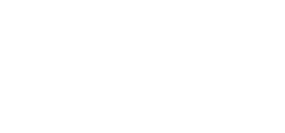 't Vosje